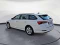 Skoda Octavia Combi 2.0TDI DSG Ambition Navi Columbus Weiß - thumbnail 4