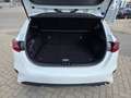Kia Ceed / cee'd Ceed 1.0 T-GDi Pulse ISG*CLIM*NAVI*CAMERA*GARANTIE Blanc - thumbnail 7