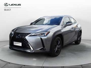 Hybrid Executive