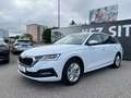 Skoda Octavia Combi 2,0 TDI 4x4 DSG | ACC*MATRIX Weiß - thumbnail 7