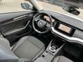 Skoda Octavia Combi 2,0 TDI 4x4 DSG | ACC*MATRIX Weiß - thumbnail 12