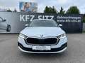 Skoda Octavia Combi 2,0 TDI 4x4 DSG | ACC*MATRIX Weiß - thumbnail 8