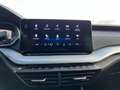 Skoda Octavia Combi 2,0 TDI 4x4 DSG | ACC*MATRIX Weiß - thumbnail 19