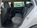 Skoda Octavia Combi 2,0 TDI 4x4 DSG | ACC*MATRIX Weiß - thumbnail 14