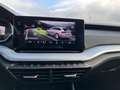 Skoda Octavia Combi 2,0 TDI 4x4 DSG | ACC*MATRIX Weiß - thumbnail 23
