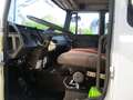 Iveco Sonstige 175-24 3 ASSI GRU PM 8000/2S +RIBALTABILE TRILATER Weiß - thumbnail 17