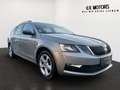 Skoda Octavia 1,6 TDI | AHK | Service Neu | Top Zustand Silber - thumbnail 5