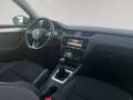 Skoda Octavia 1,6 TDI | AHK | Service Neu | Top Zustand Silber - thumbnail 23