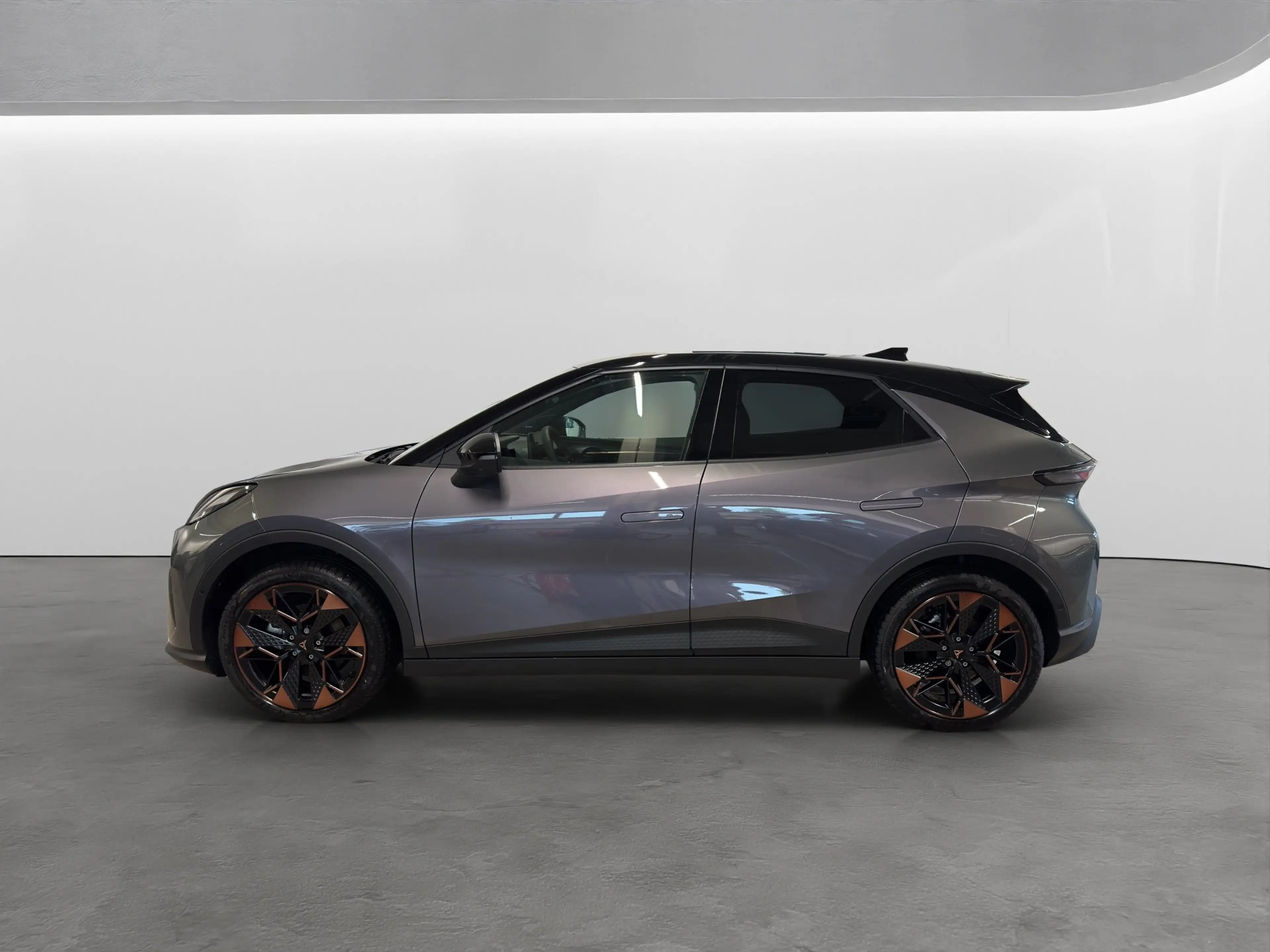 CUPRA Raval Endurance — photo 4