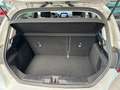 Ford Fiesta Titanium/Winterpaket/LED/Sportsitze/Alu Argento - thumbnail 13