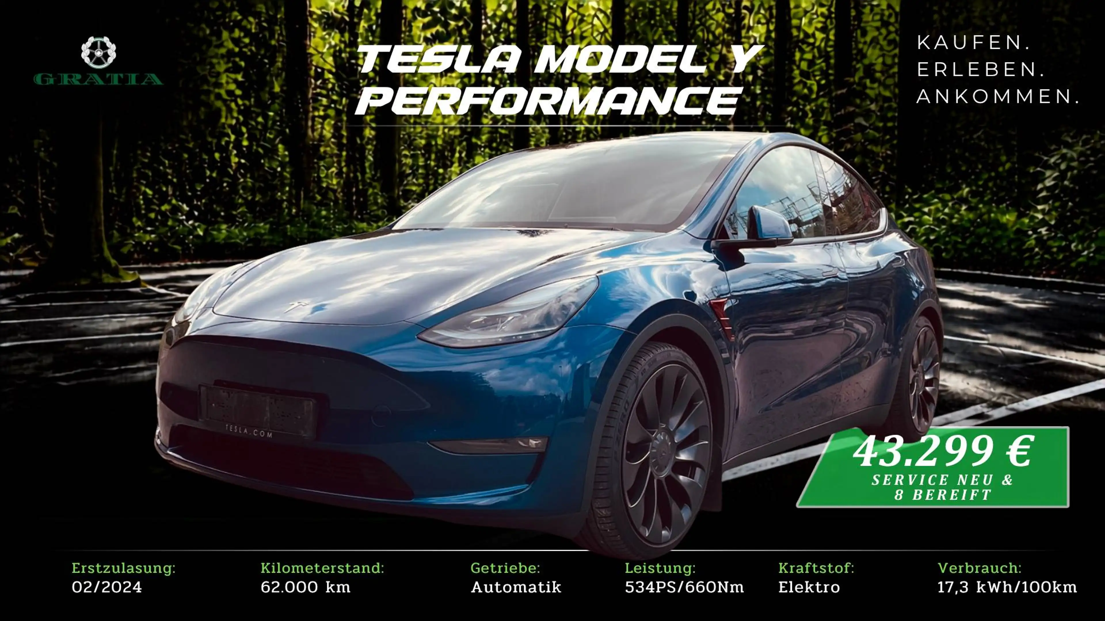 Tesla Model Y Performance Dual AWD-8Fach Bereift