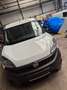 Fiat Doblo Pharmamobil SX Maxi Kasten Weiß - thumbnail 1
