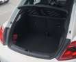 Volkswagen Beetle 2.0 TSI DSG Exclusive Sport DAB/Leder/Gsd Blanc - thumbnail 9