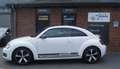 Volkswagen Beetle 2.0 TSI DSG Exclusive Sport DAB/Leder/Gsd Blanc - thumbnail 2