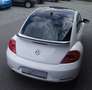 Volkswagen Beetle 2.0 TSI DSG Exclusive Sport DAB/Leder/Gsd Blanc - thumbnail 7