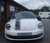Volkswagen Beetle 2.0 TSI DSG Exclusive Sport DAB/Leder/Gsd Blanc - thumbnail 5