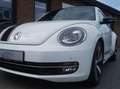 Volkswagen Beetle 2.0 TSI DSG Exclusive Sport DAB/Leder/Gsd Blanc - thumbnail 19
