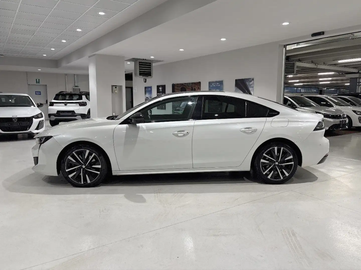 Peugeot 508 Hybrid 225 GT e-EAT8 Bianco - 2