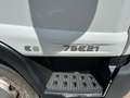 Iveco 75E21/P Alb - thumbnail 14