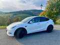 Tesla Model Y Model Y AWD 79kWh Performance Performance Weiß - thumbnail 4