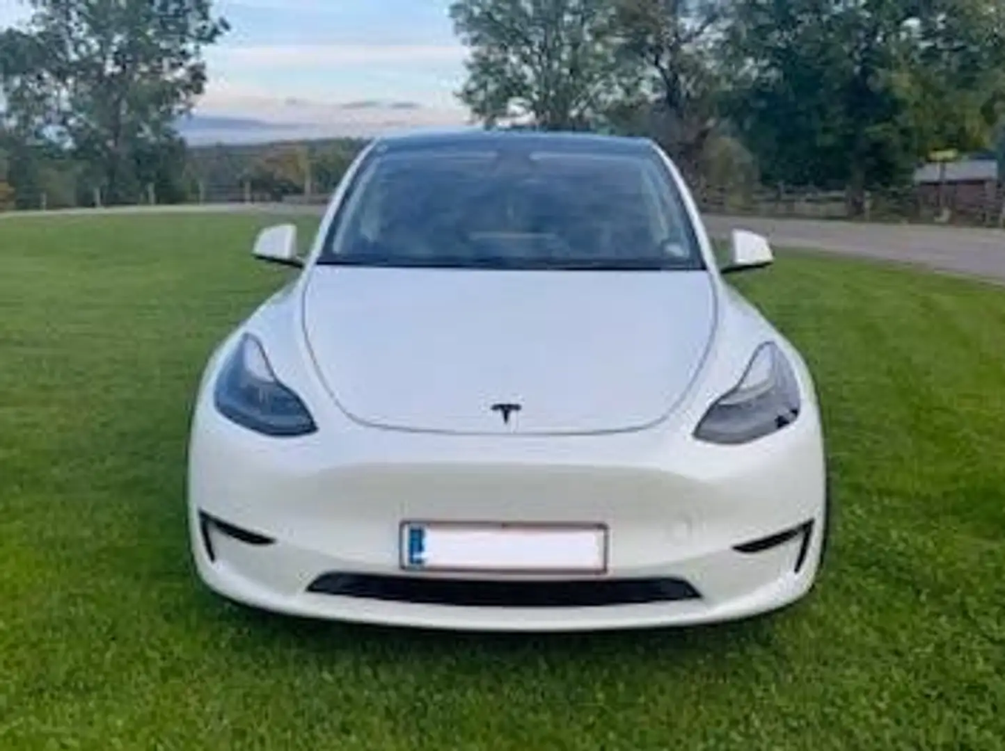 Tesla Model Y Model Y AWD 79kWh Performance Performance Weiß - 2