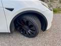 Tesla Model Y Model Y AWD 79kWh Performance Performance Weiß - thumbnail 19