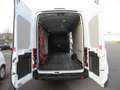 Ford Transit Kasten 350 L4 Trend **2.HAND** Weiß - thumbnail 10