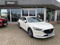 Mazda 6 Kombi CENTER-LINE Blanco - thumbnail 1