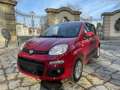 Fiat New Panda Lounge - thumbnail 4