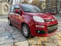 Fiat New Panda Lounge - thumbnail 1