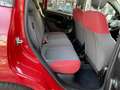 Fiat New Panda Lounge - thumbnail 12