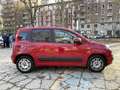 Fiat New Panda Lounge - thumbnail 7