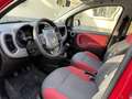 Fiat New Panda Lounge - thumbnail 14