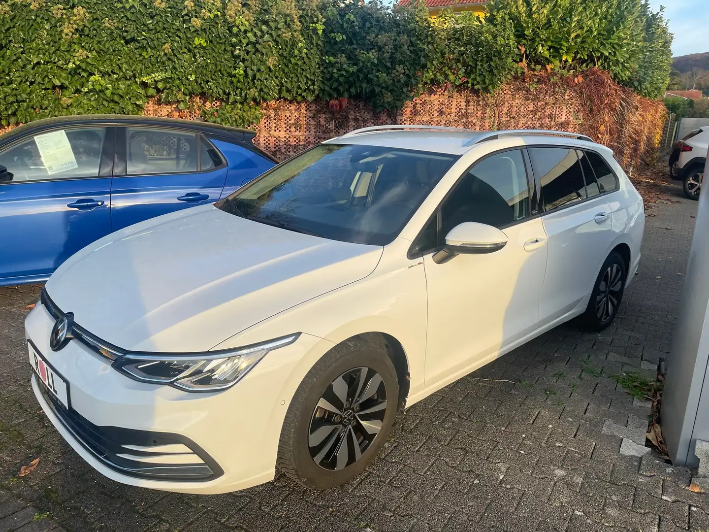 Volkswagen Golf Variant 1.5 Move Weiß - 1