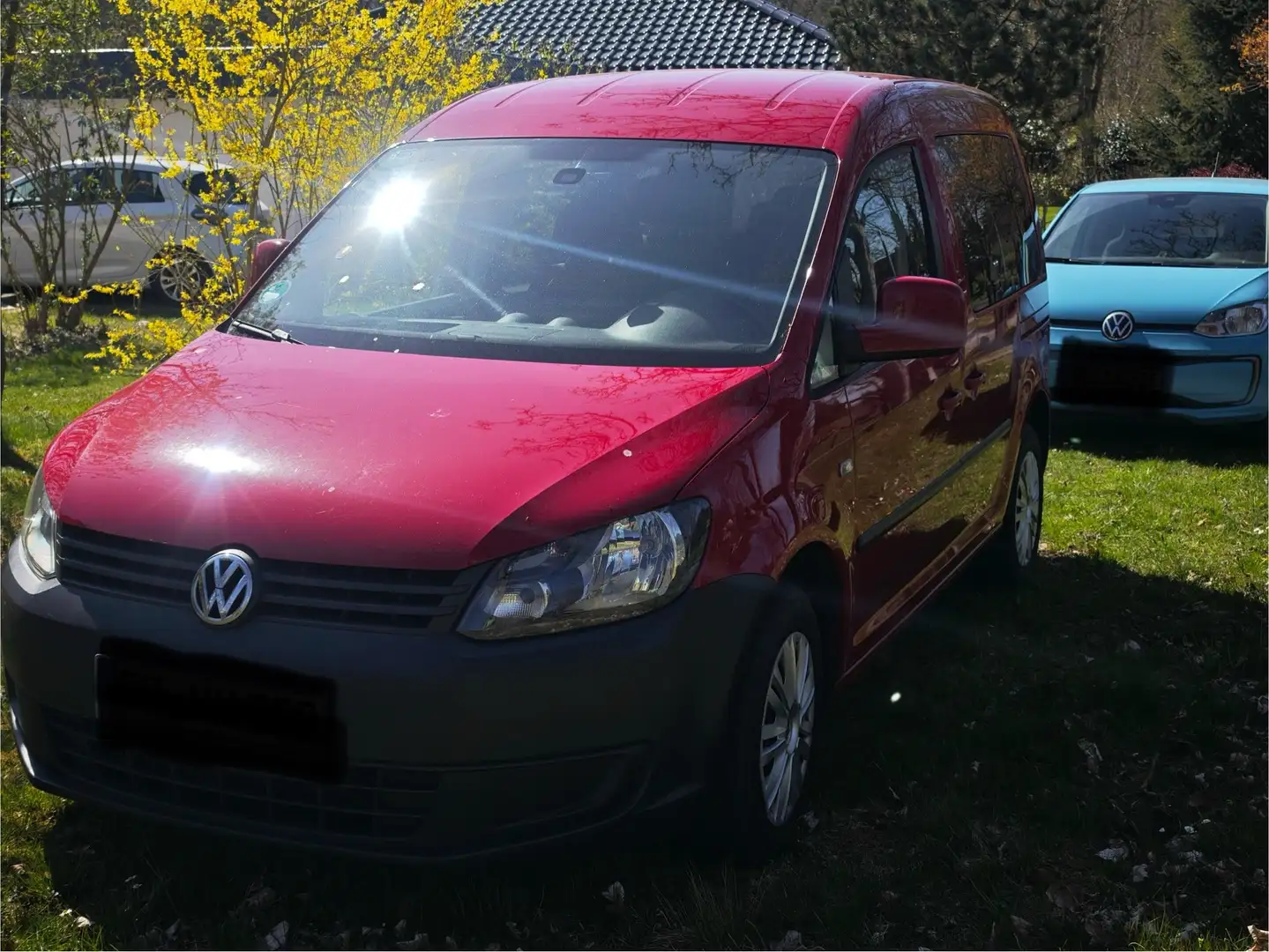 Volkswagen Caddy Caddy 1.6 TDI (5-Si.) BMT Edition 30 - 1