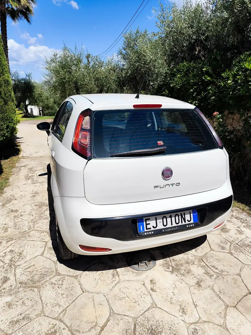 Fiat Punto Evo 5p 1.4 easypower Active Gpl 77cv - 2