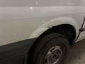 Ford Transit Bus 9 places White - thumbnail 4