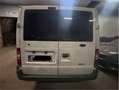 Ford Transit Bus 9 places White - thumbnail 6