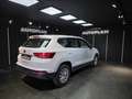 SEAT Ateca 1.6TDI CR S&S Ecomotive Reference Weiß - thumbnail 4