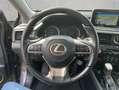 Lexus RX 450h h Style Edition, Headup, Panodach, 8 fach Gris - thumbnail 8