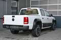 Volkswagen Amarok 4Motion 2.0 TDI Doppelkabine Pickerl NEU Weiß - thumbnail 2