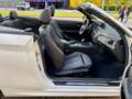BMW 220 220d Cabrio Aut M” Bianco - thumbnail 13