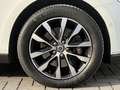 Volvo V40 Cross Country T3 153PK AUT6 Polar+ Luxury| Panodak| Camera| Lede Blanc - thumbnail 5