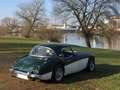 Austin-Healey 100 100/6 Vert - thumbnail 13