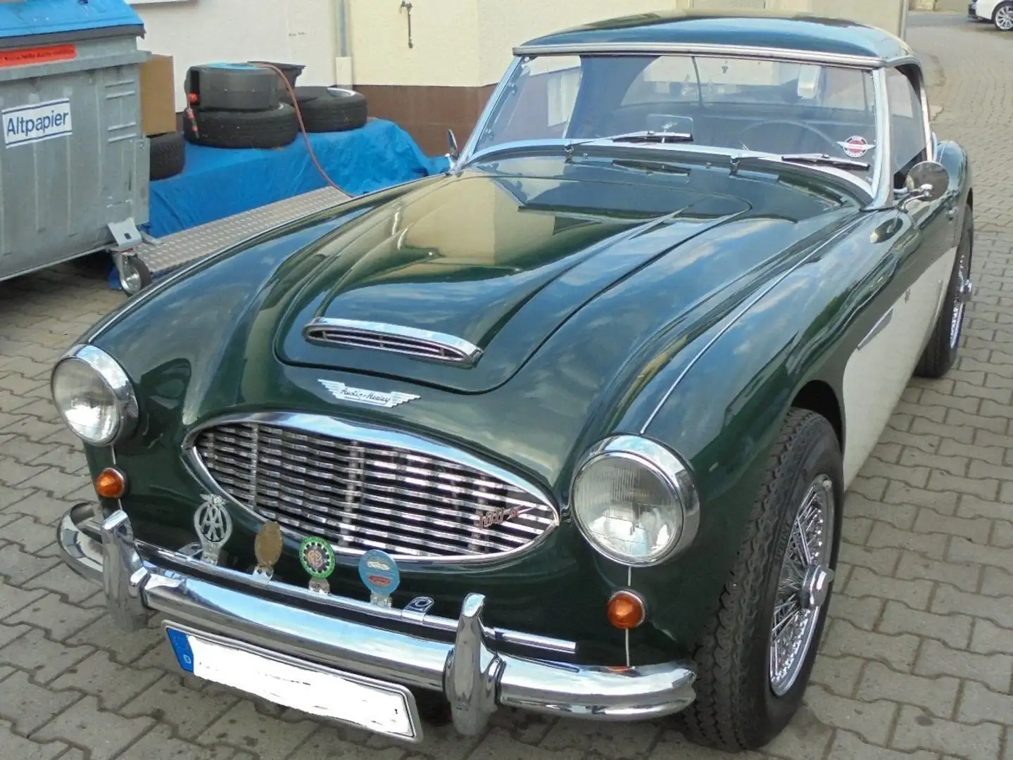 Austin-Healey 100 100/6 Grün - 1