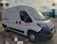 Peugeot Boxer Boxer Furgón ISOTERM equipo frío 0 a 25ªC Blanco - thumbnail 4