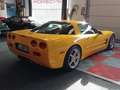 Chevrolet Corvette coupe 2002 Millenium Yellow. - thumbnail 3