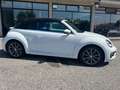 Volkswagen Maggiolino Maggiolino Cabrio 1.4 tsi Sport dsg FULL OPTIONAL Wit - thumbnail 6