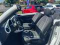 Volkswagen Maggiolino Maggiolino Cabrio 1.4 tsi Sport dsg FULL OPTIONAL Wit - thumbnail 9