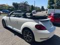 Volkswagen Maggiolino Maggiolino Cabrio 1.4 tsi Sport dsg FULL OPTIONAL Wit - thumbnail 4